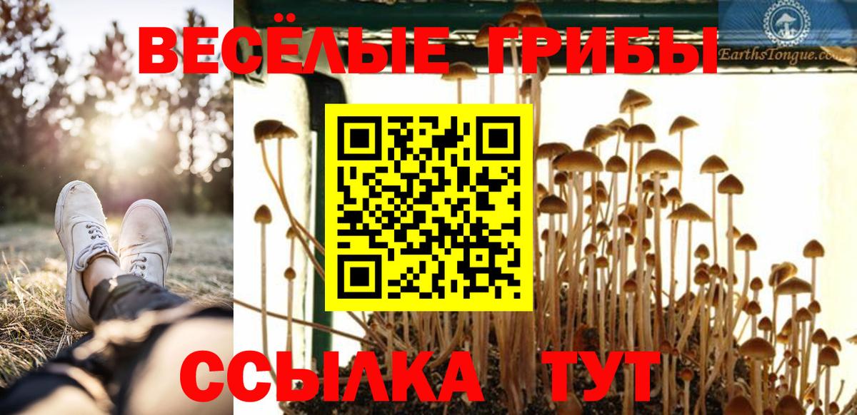 Псилоцибиновые грибы Cubensis Нефтекамск