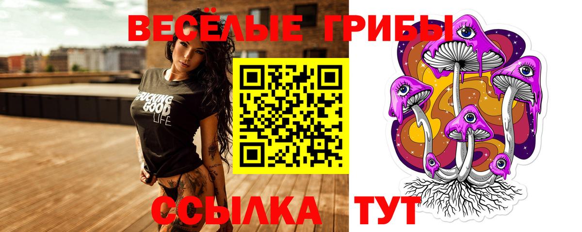 Нефтекамск  Псилоцибиновые грибы прущие грибы  Вход с VPN  Псилоцибиновые грибы Magic Shrooms 
